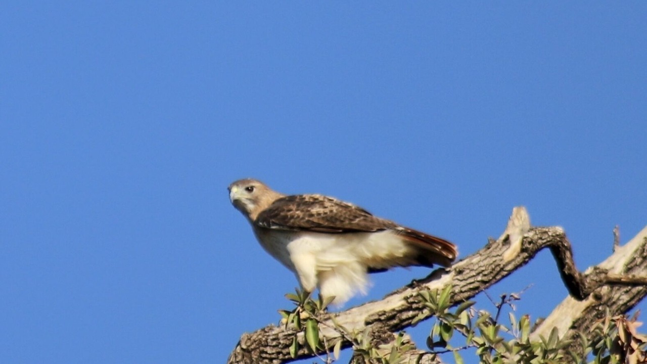 Photo of Others in Seguin