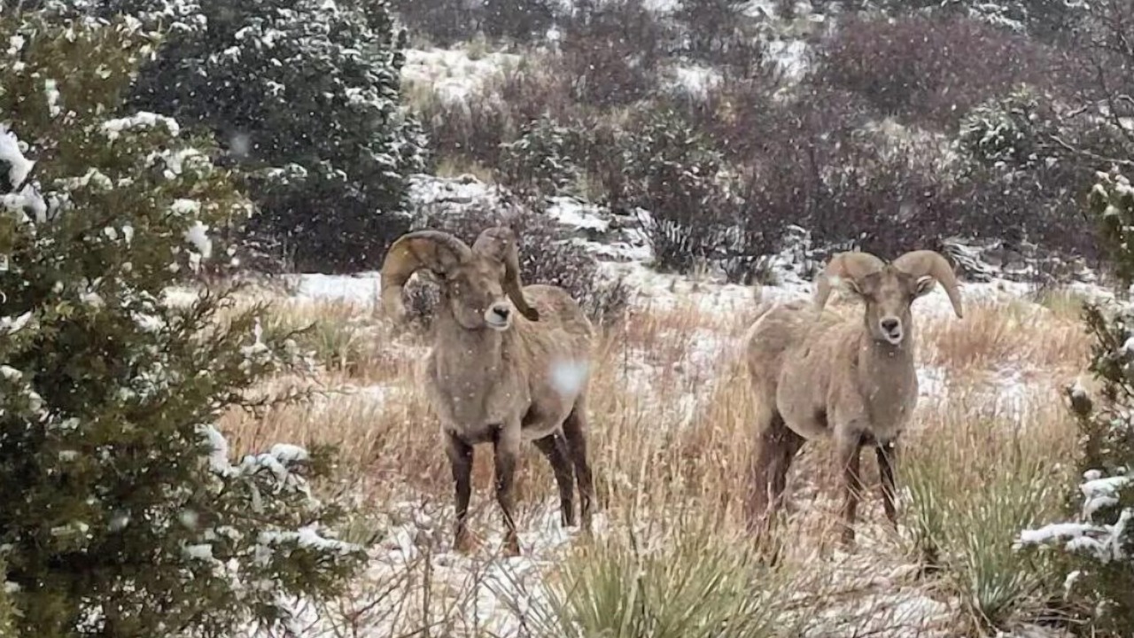 Photo of Outdoor in Mountain Shadows