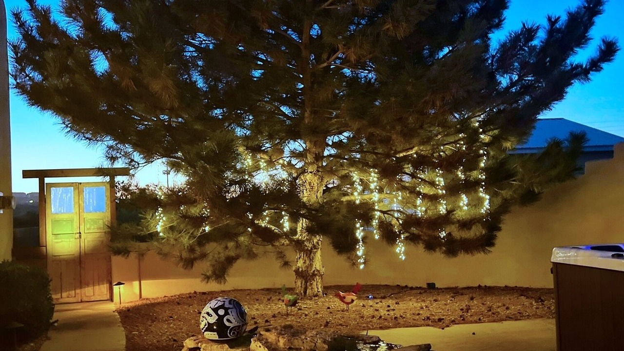 Photo of Outdoor in Rio Rancho
