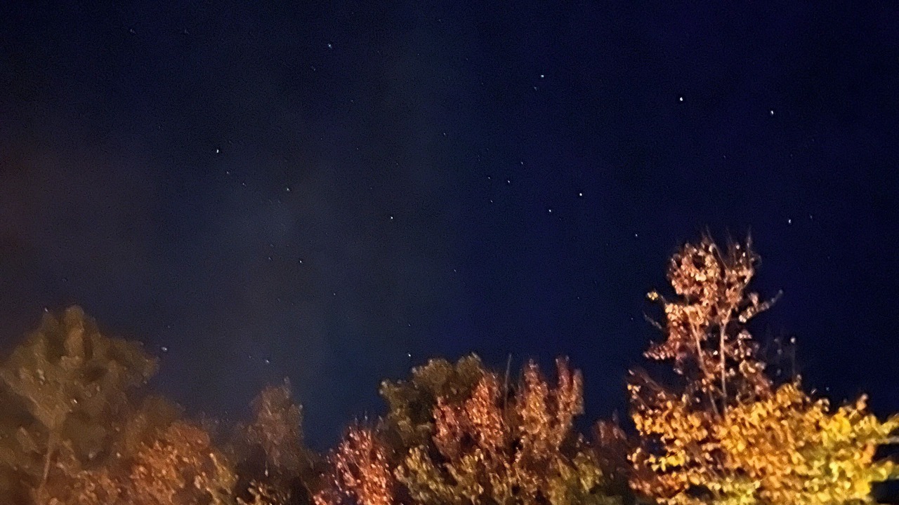 Photo of Others in North Blenheim