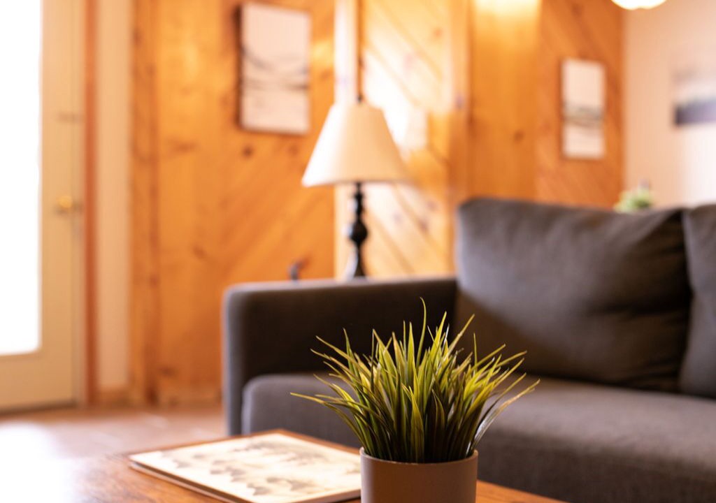 Photo of Livingroom in Snowshoe