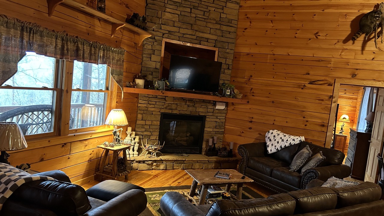 Photo of Livingroom in Seymour