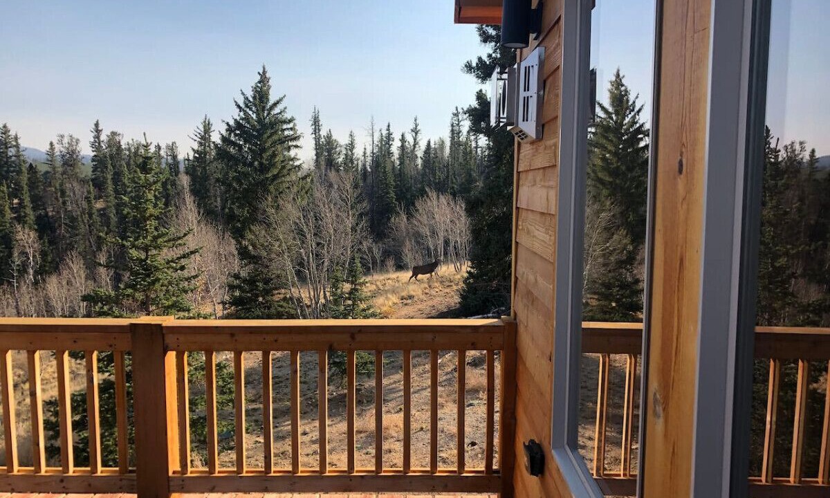 Photo of Outdoor in Indian Mountain