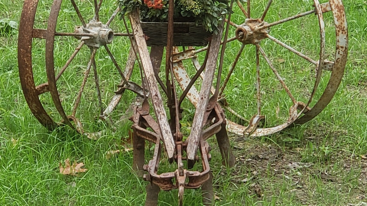 Photo of Outdoor in Sumner County
