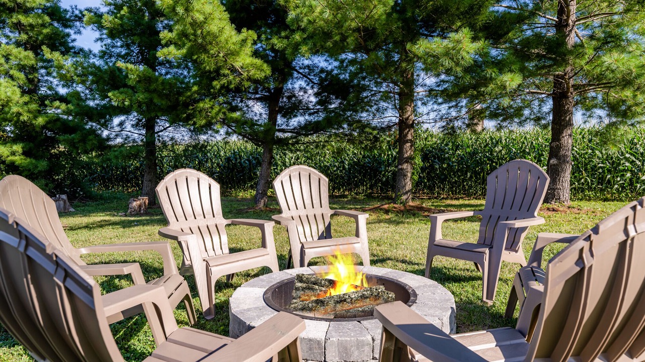 Photo of Outdoor in Bridgman