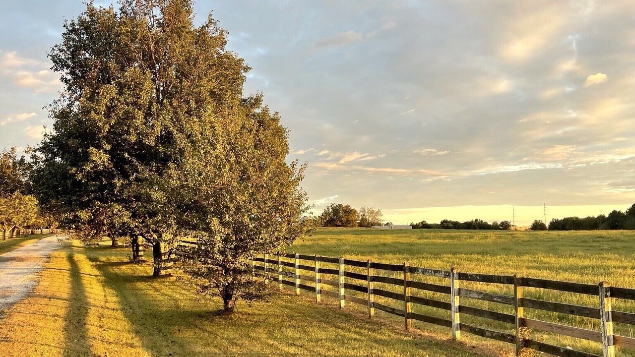 Photo of Outdoor in Social Circle