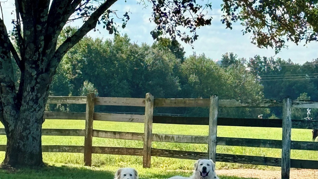 Photo of Outdoor in Social Circle