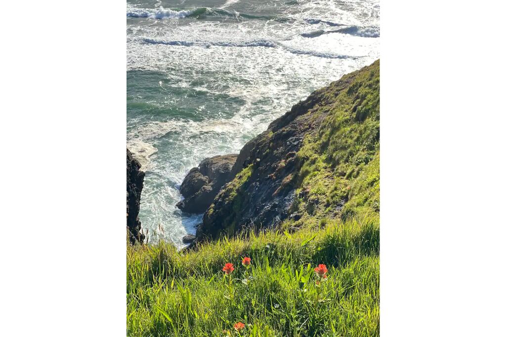 Photo of Others in Seaview