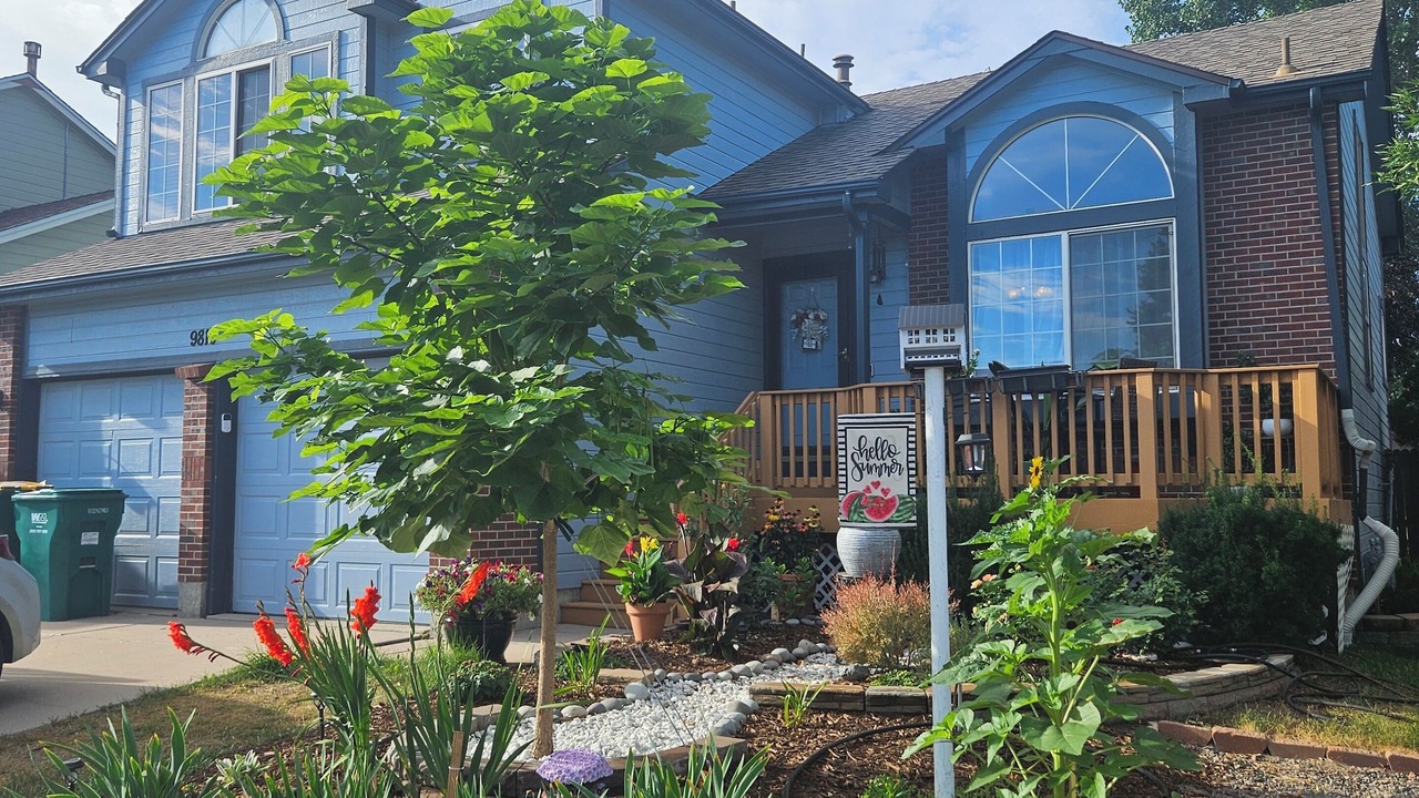 Photo of Outdoor in Walnut Grove