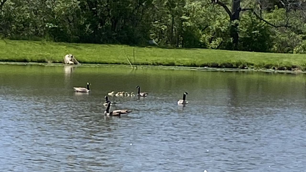 Photo of Others in Oxford
