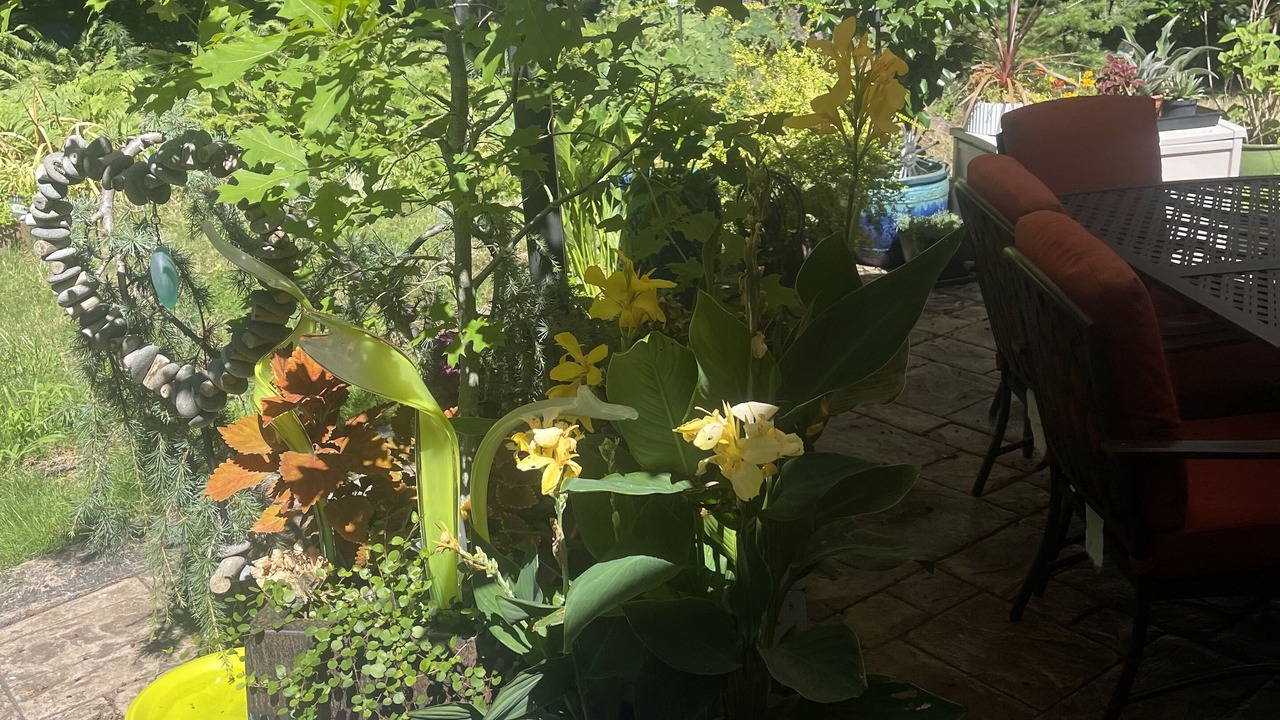 Photo of Outdoor in Jennings Lodge