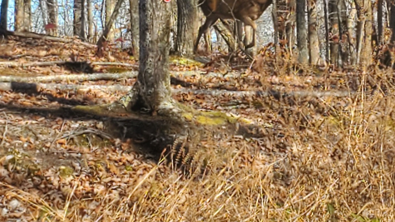 Photo of Others in Pikeville