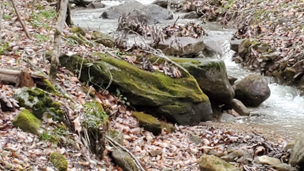 Photo of Outdoor in Pikeville