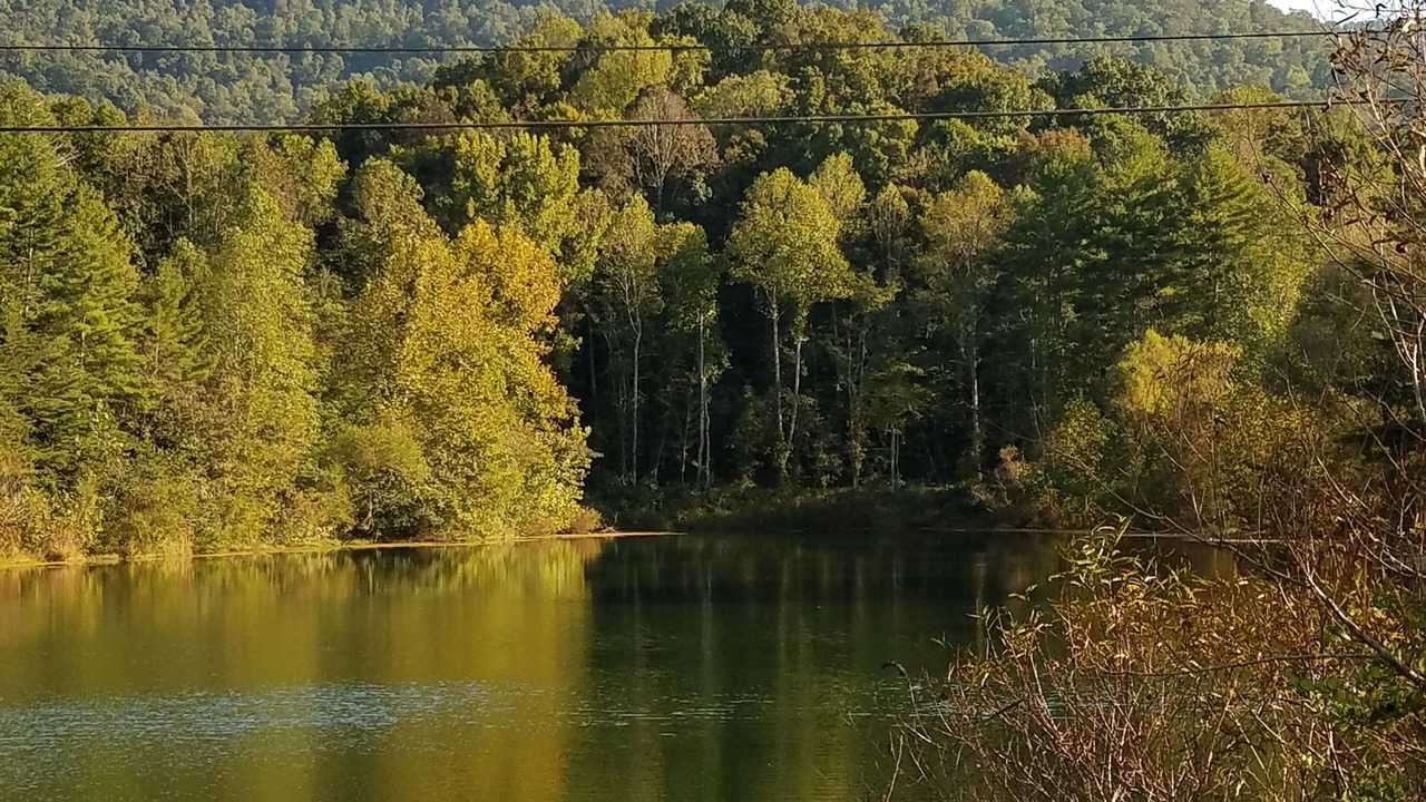 Photo of Others in Pikeville