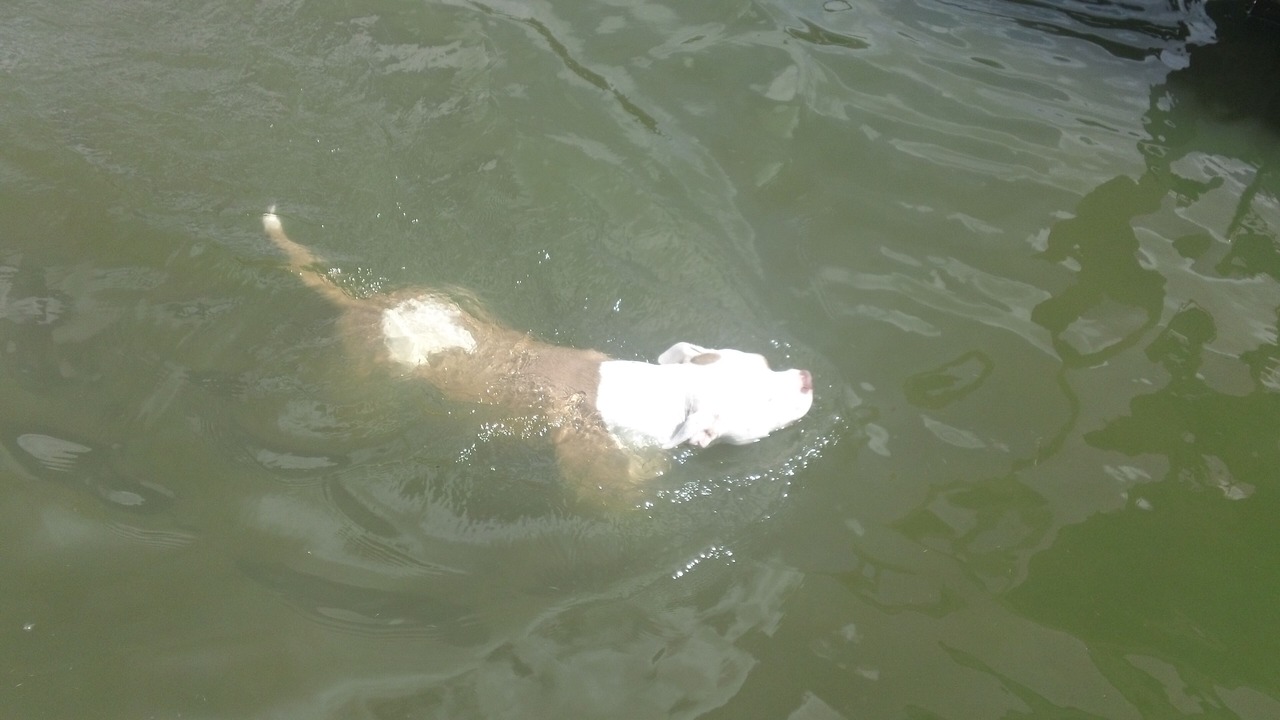 Photo of Others in Buckeye Lake