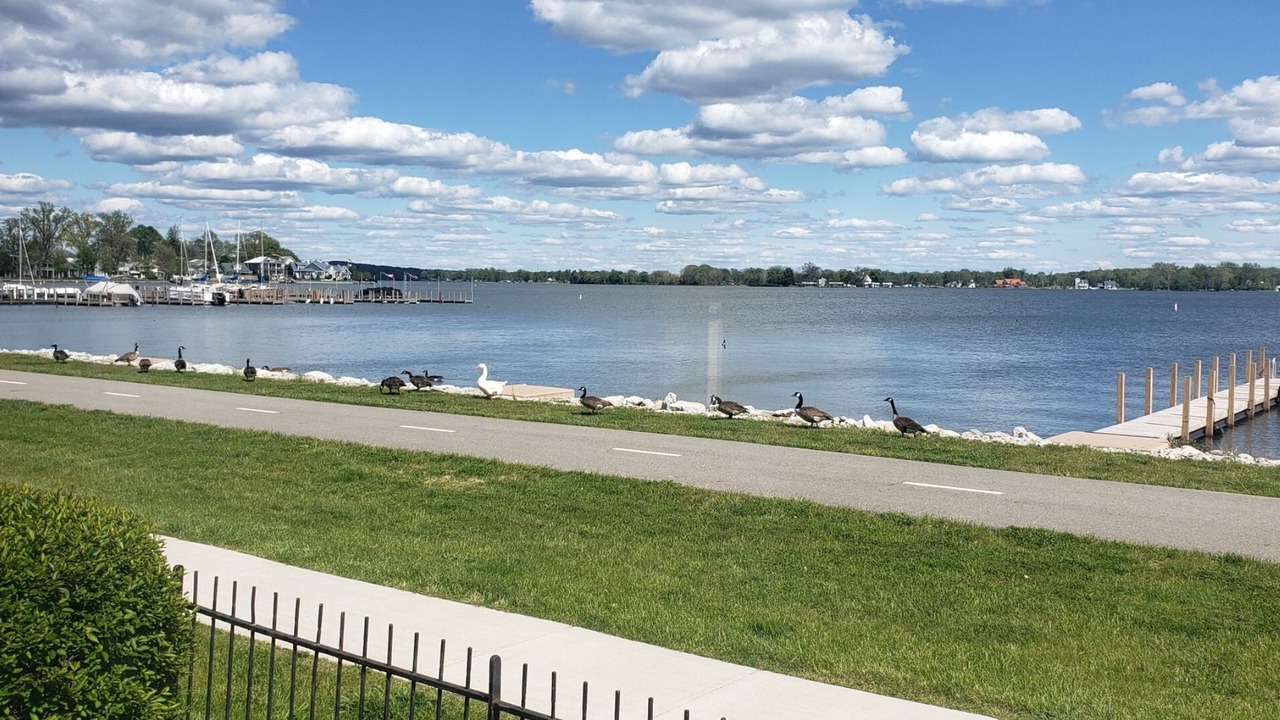 Photo of Outdoor in Buckeye Lake