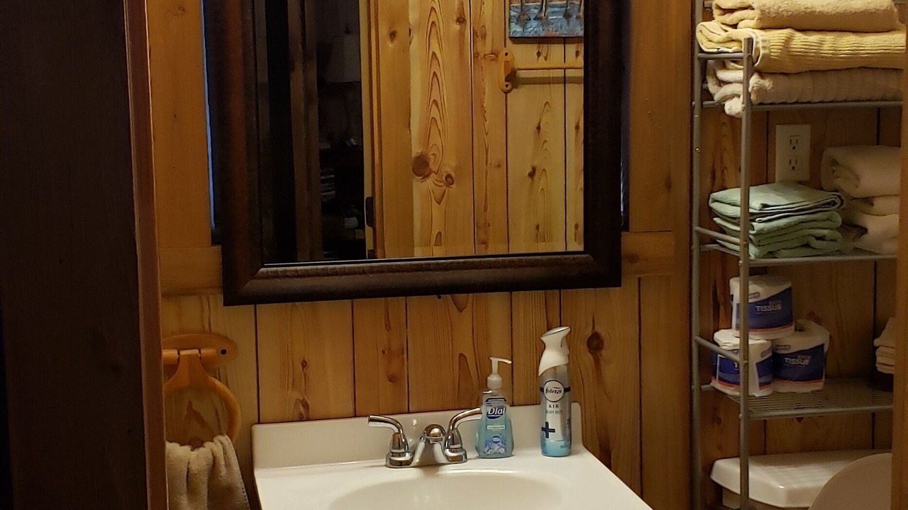 Photo of Bathroom in Hornbeak