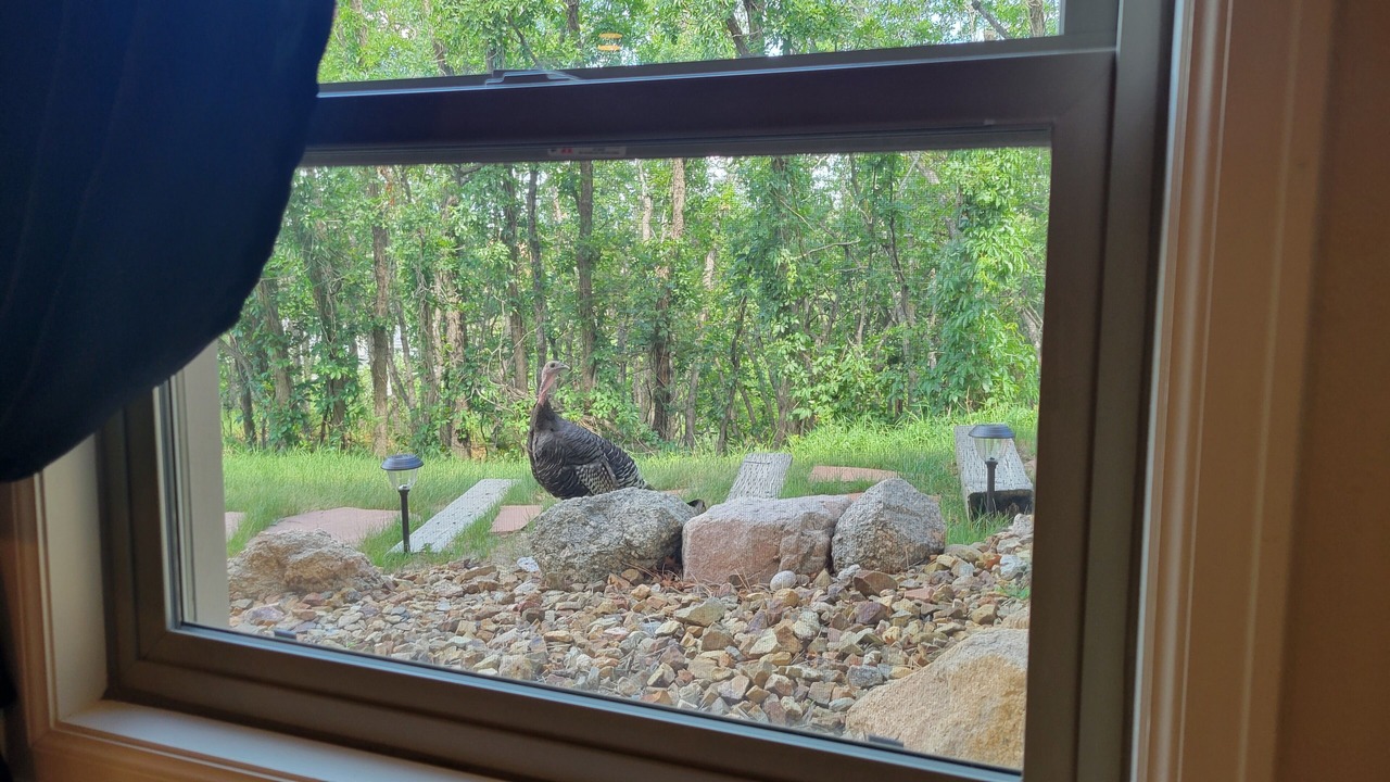 Photo of Others in Southwest Colorado Springs