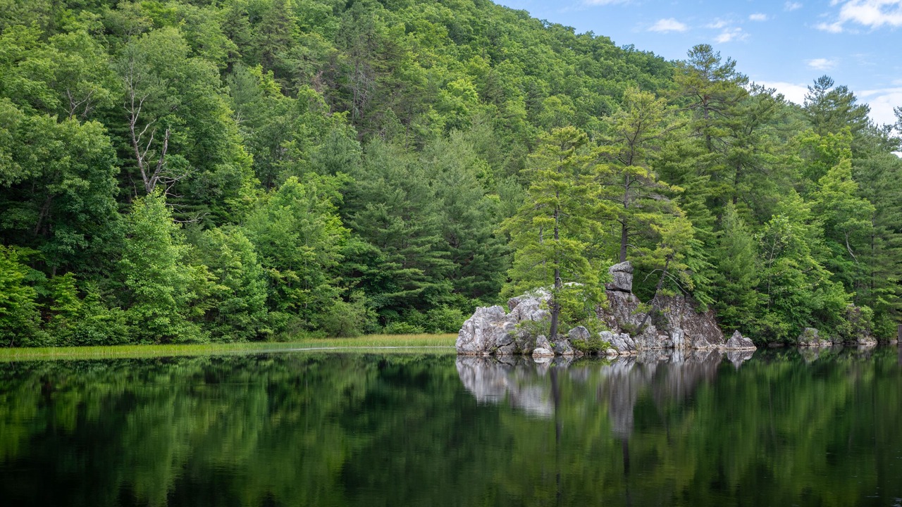 Photo of Others in Lost River