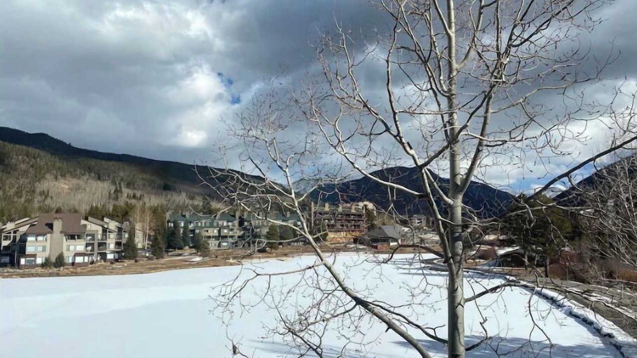 Photo of Others in Lakeside Village