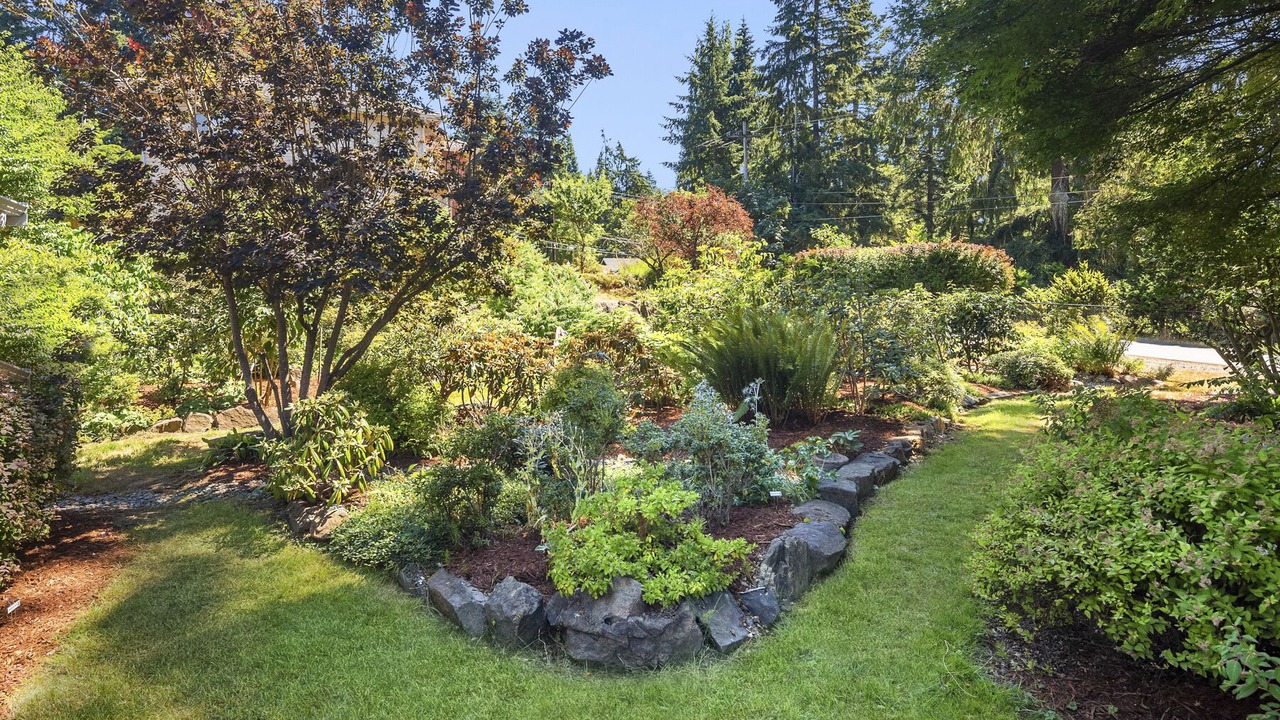 Photo of Outdoor in Lake Forest Park