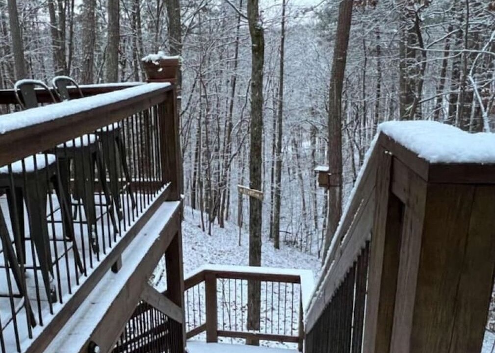 Photo of Outdoor in Ellijay