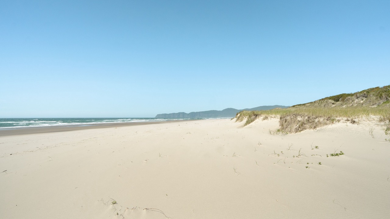 Photo of Others in Tierra Del Mar