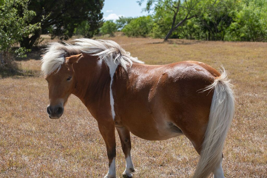 Photo of Outdoor in San Marcos