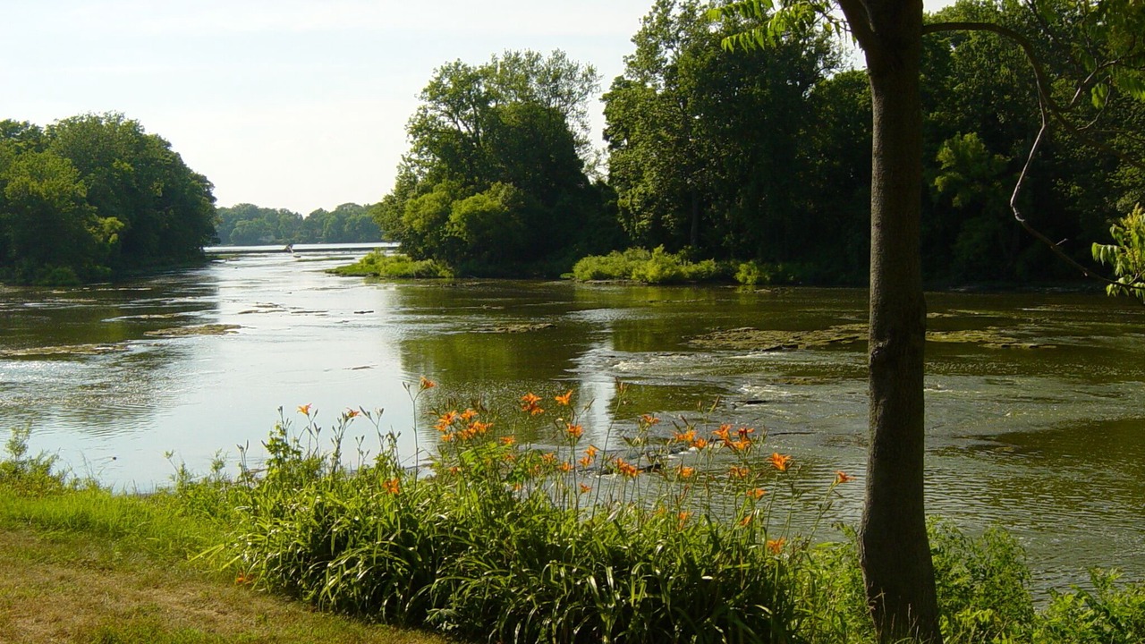 Photo of Outdoor in Maumee