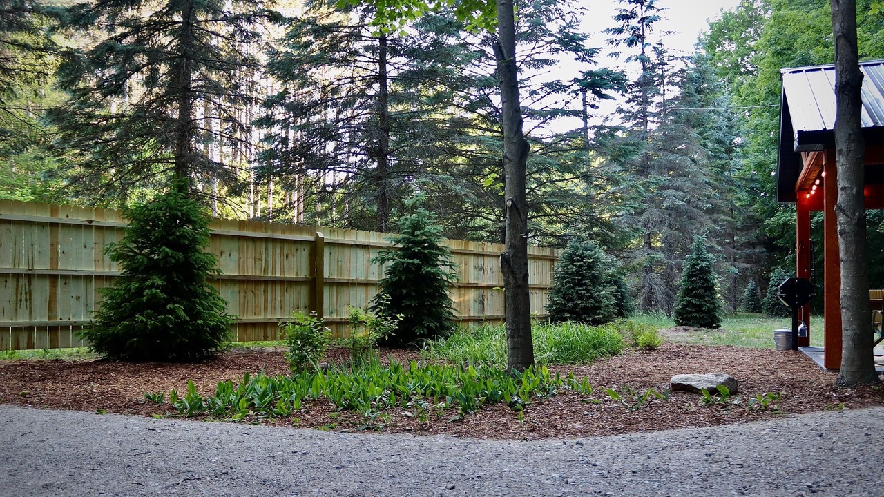 Photo of Outdoor in Thompsonville