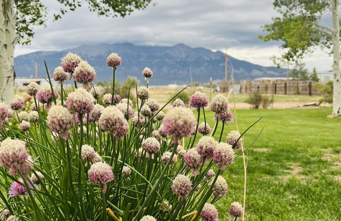 Photo of Outdoor in Blanca