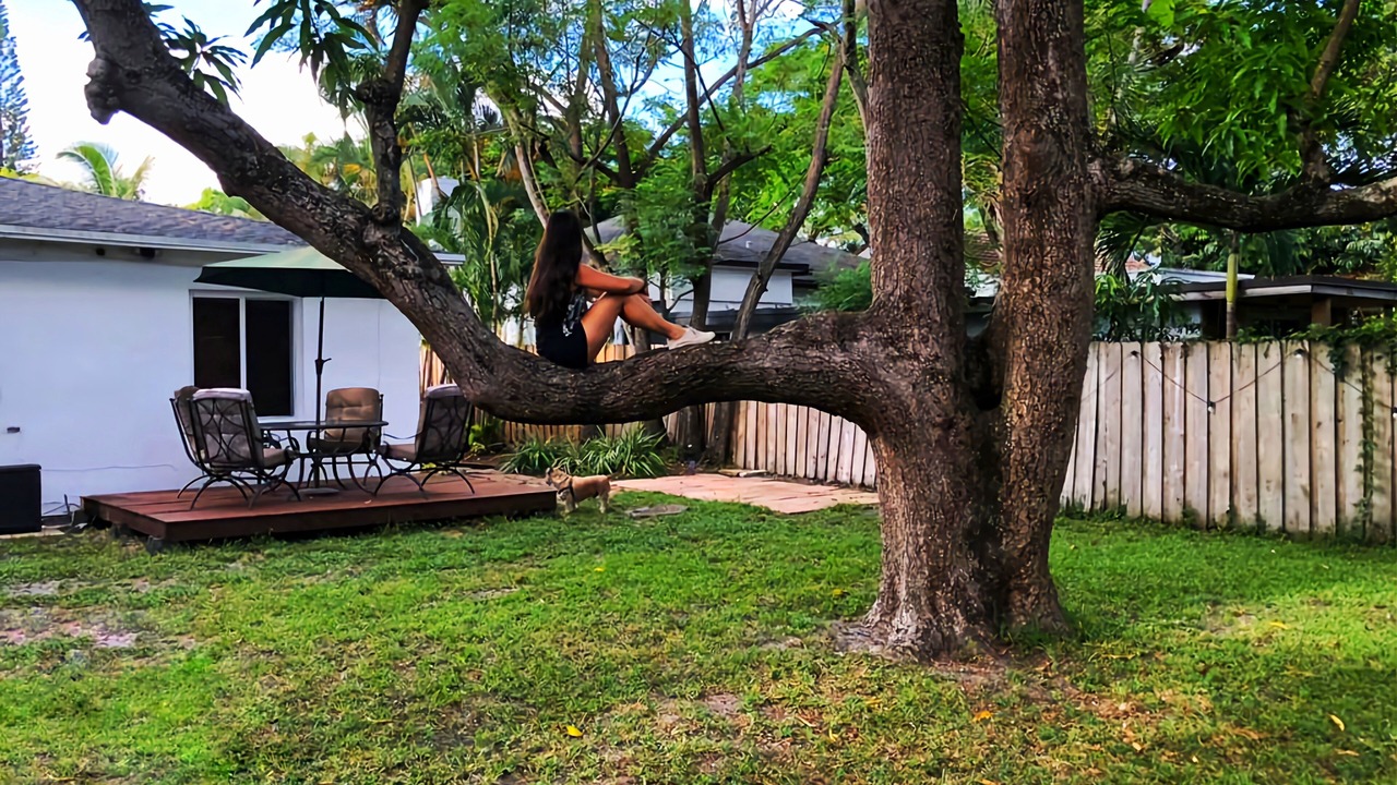 Photo of Outdoor in Poinciana Park