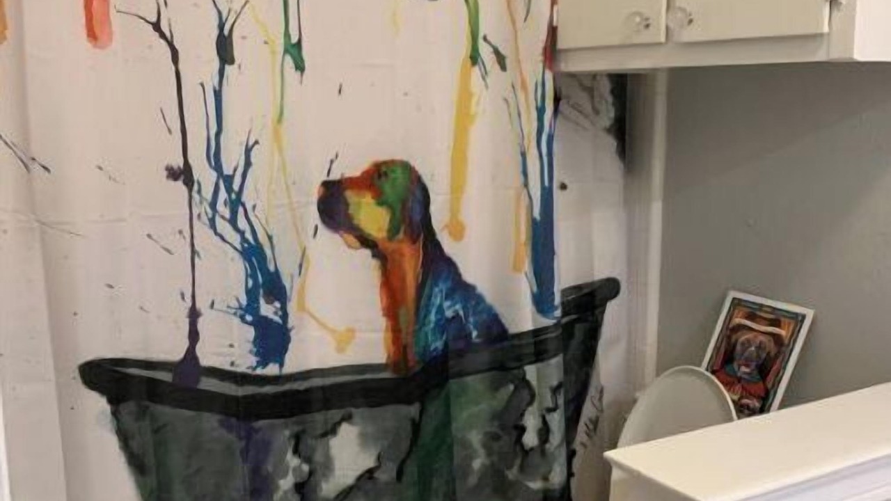 Photo of Bathroom in West Arlington
