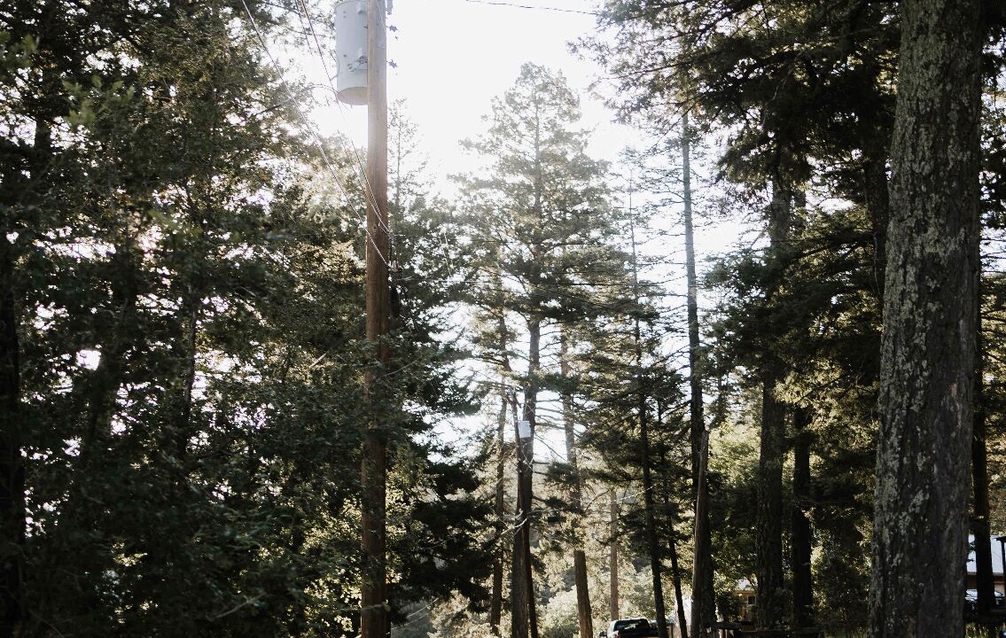 Photo of Others in Cloudcroft