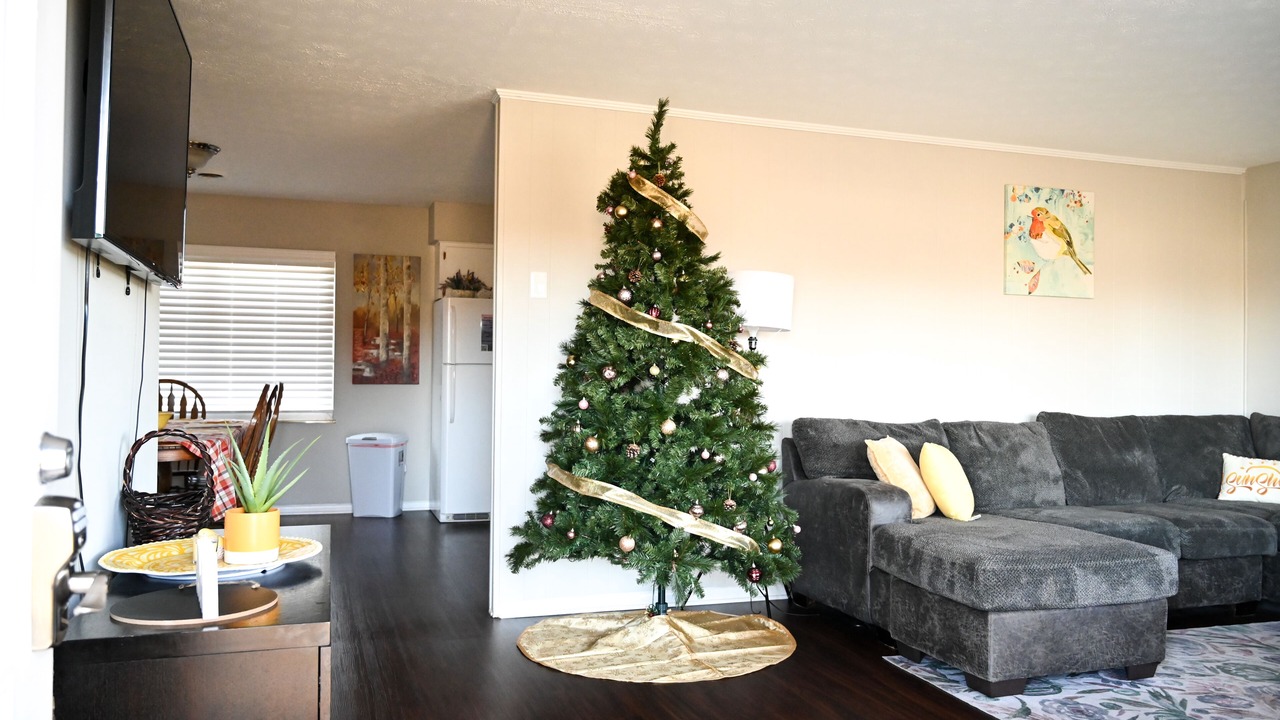 Photo of Livingroom in Seymour
