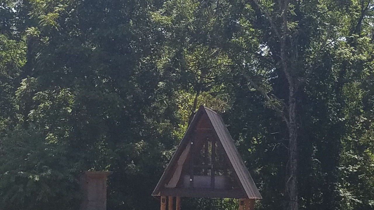 Photo of Outdoor in Thurmond