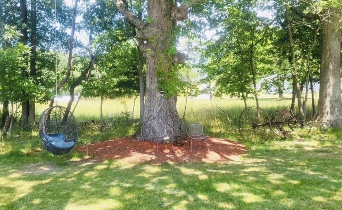 Photo of Outdoor in Wardensville