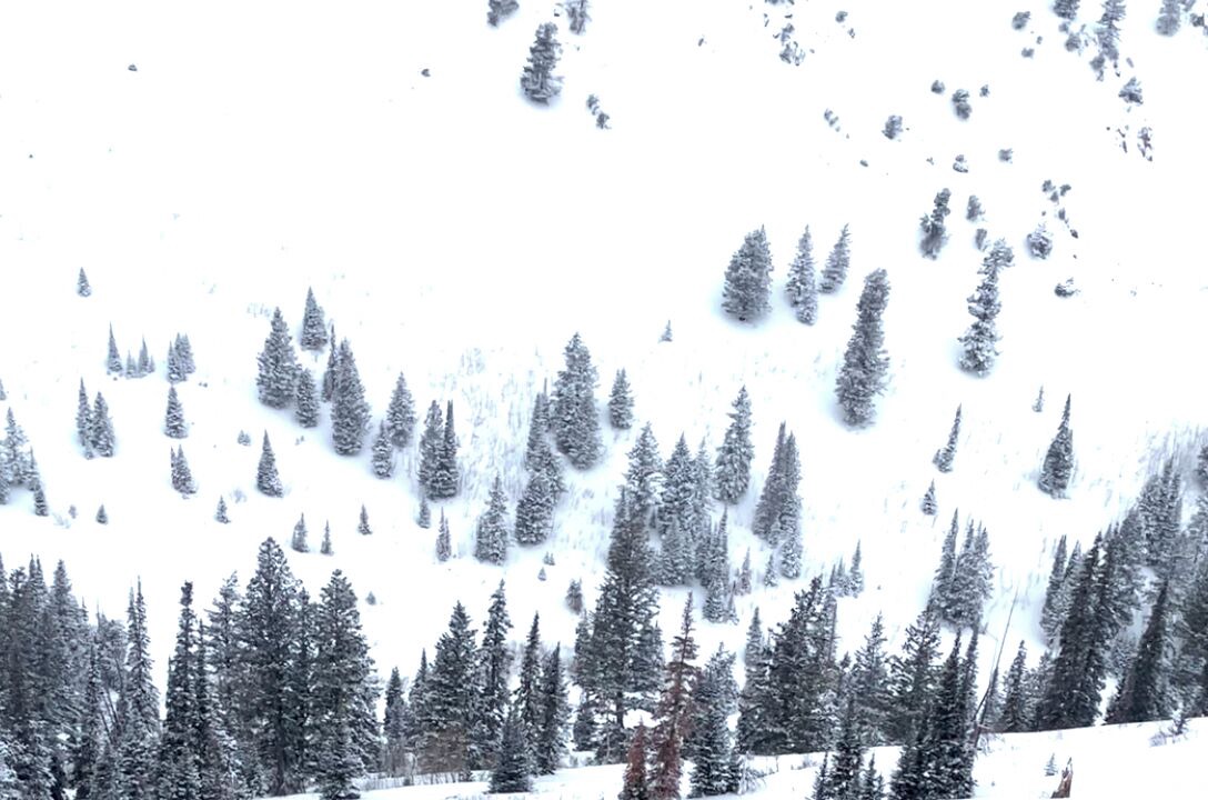 Photo of Others in Wolf Creek