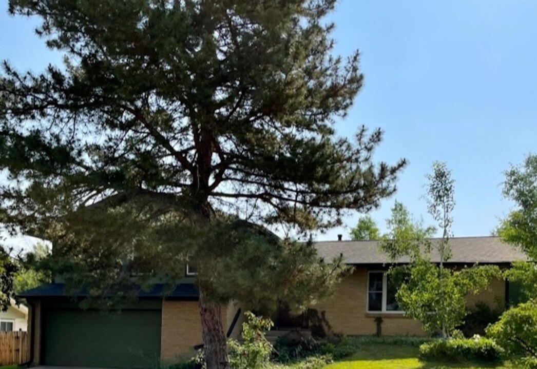 Photo of Outdoor in Castlewood