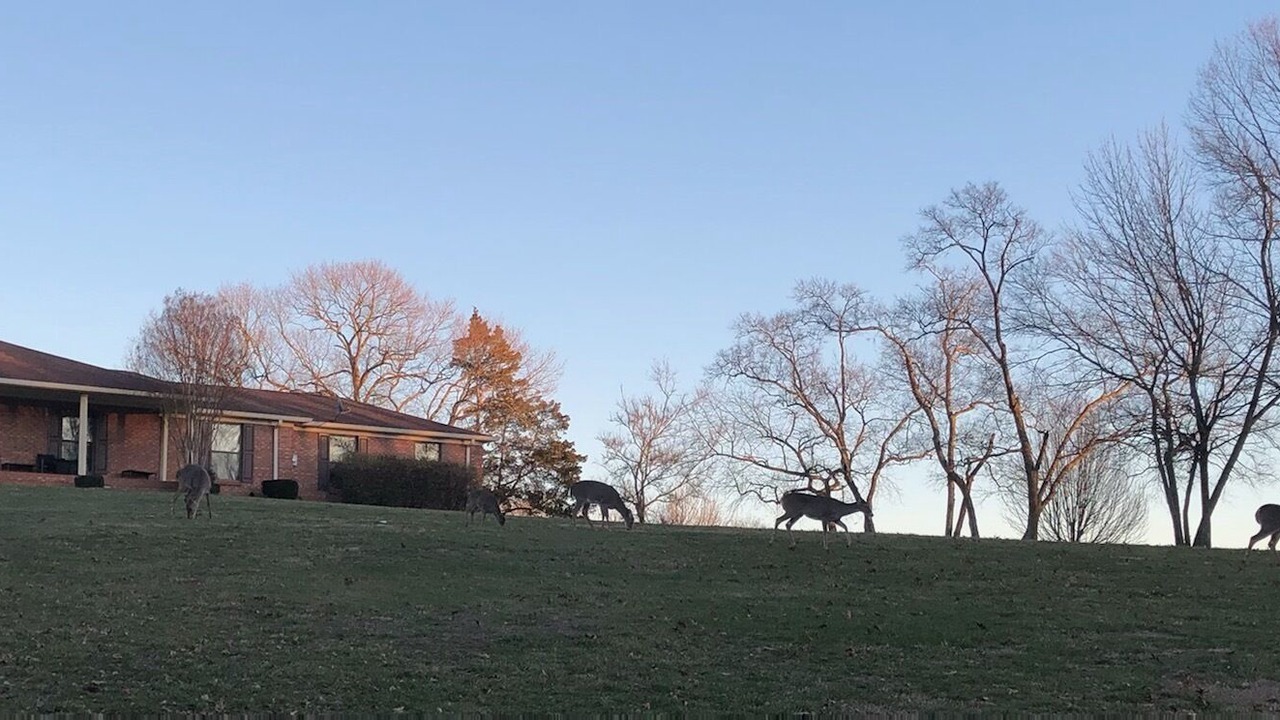 Photo of Others in Hendersonville