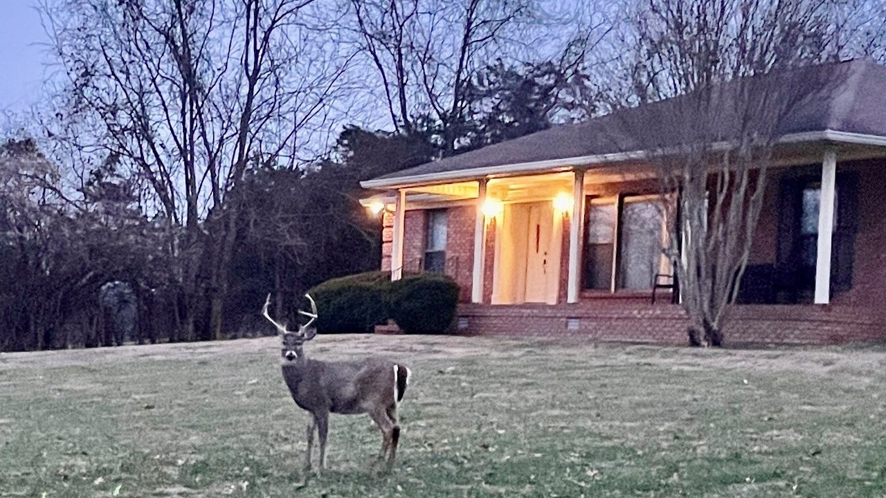 Photo of Others in Hendersonville