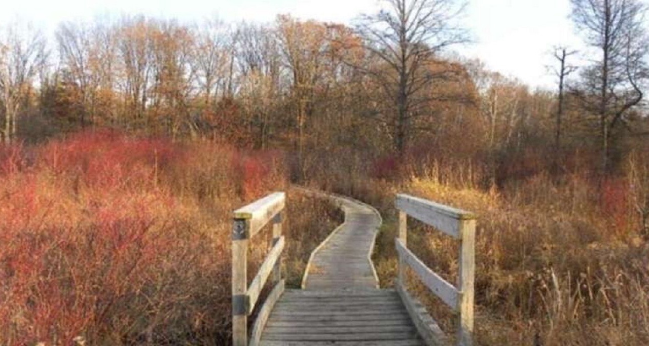 Photo of Outdoor in Whitewater