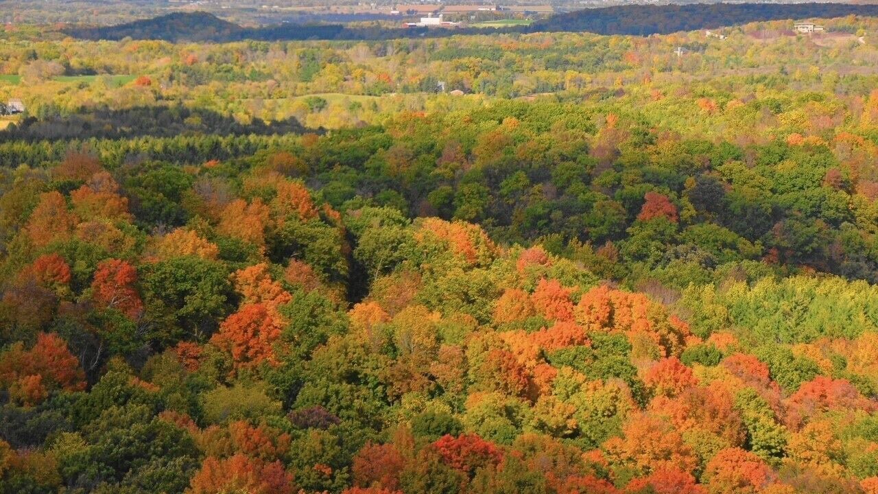 Photo of Outdoor in Whitewater