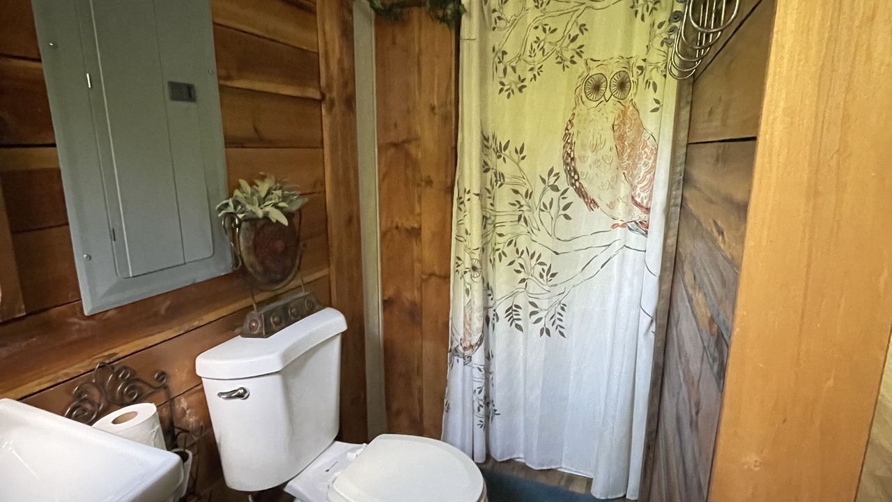 Photo of Bathroom in Olivehill