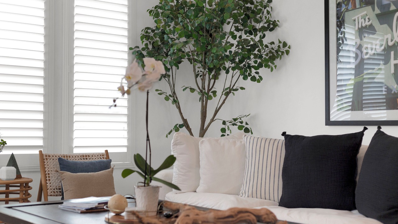 Photo of Livingroom in Toluca Lake