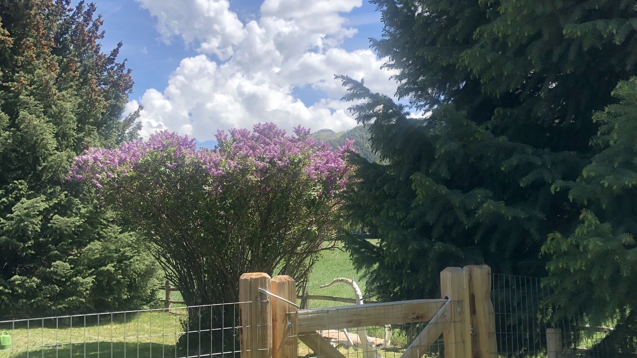 Photo of Outdoor in Aspen