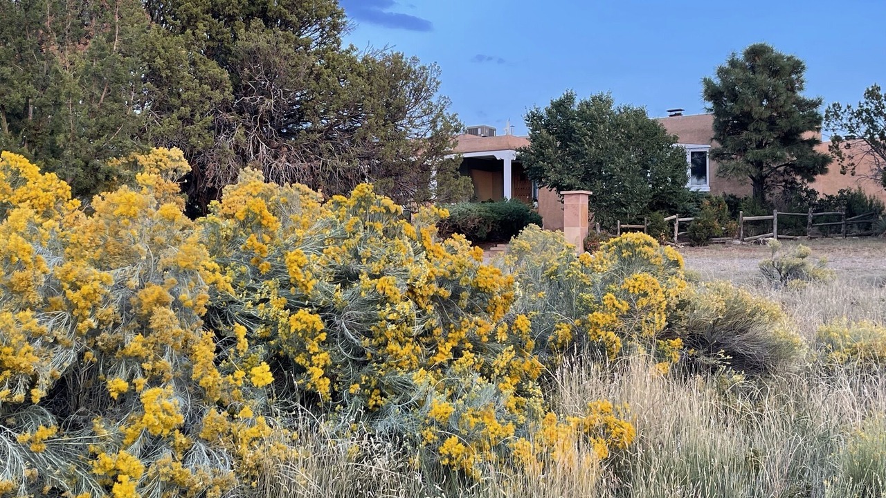 Photo of Outdoor in Santa Fe