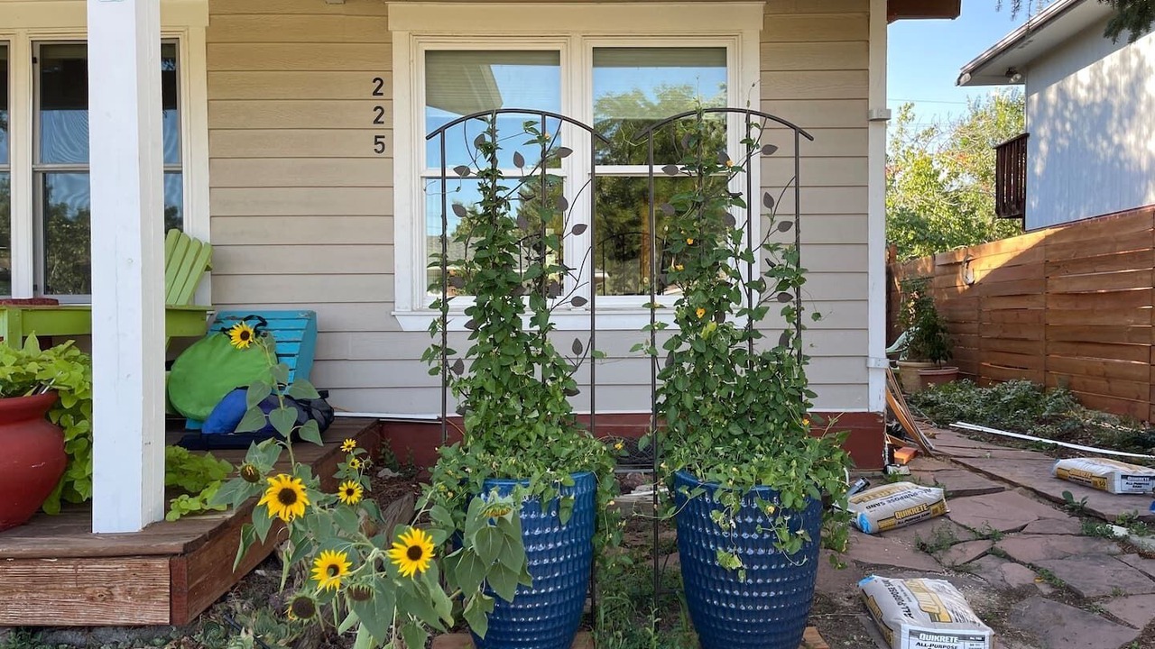 Photo of Outdoor in Martin Acres