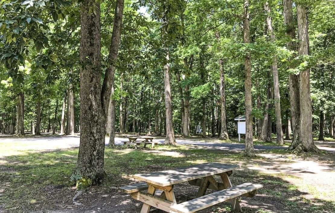 Photo of Outdoor in Ocean Pines