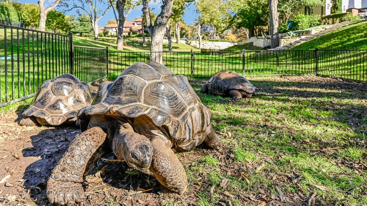 Photo of Others in Panorama Ranch